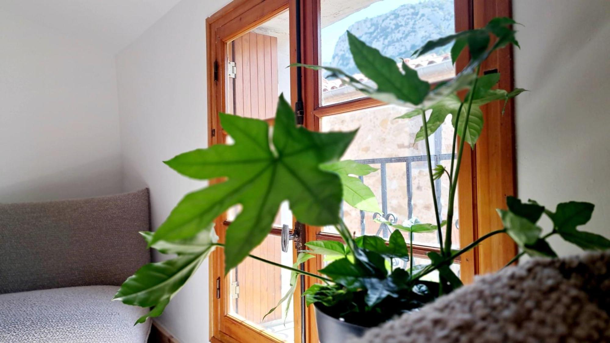 Casa Tramuntana Hotel Tautavel Ngoại thất bức ảnh